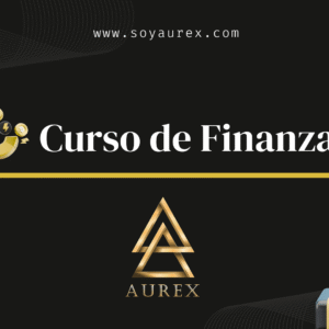 Nivel 1 - Curso Finanzas + Negocios Digitales